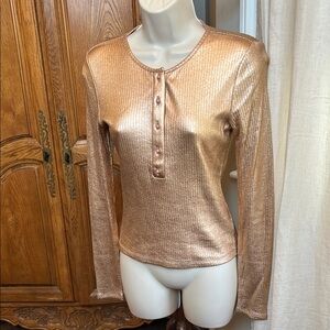 Express Metallic Long Sleeve Top